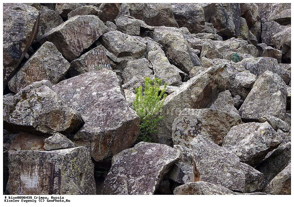 ������; ����; �������� ����������; ����; �����; ������; ������; �������; ����; ������; ������������ ������; �����; ������; �����; �����; �������; ����� 