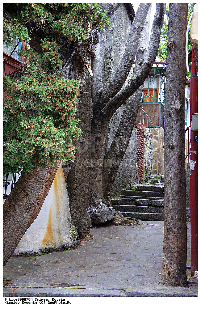 ������; ����; ����; �����; ������; ������; �������; �����; ��������; ������; ������; �����; ������; �����; ������