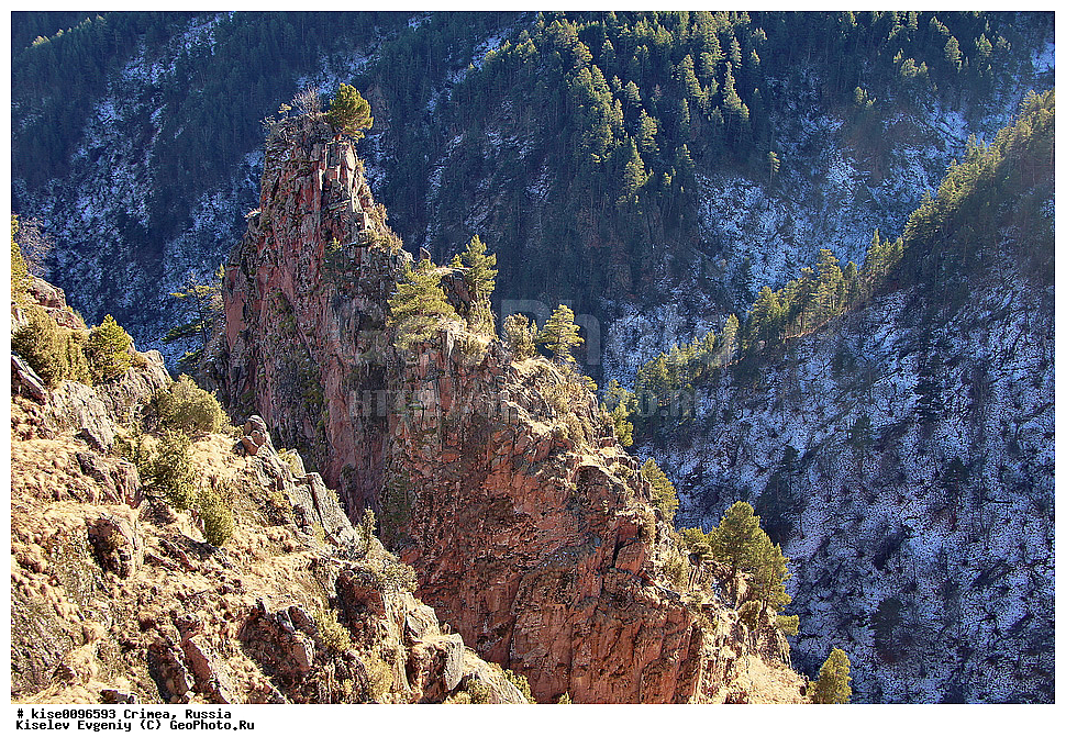 ������,  ���������-��������, ����������, �������� ������,����, ����, ������� ���������� ������, �������, ���, �����, ����, ������ 