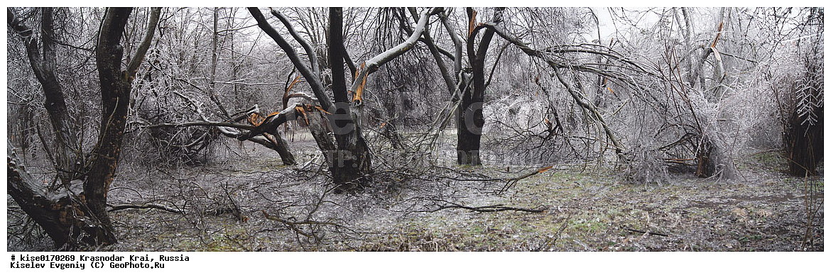 �������, ������, ����, ������, �������, �����, �����, ����, �������, �������, ���, ������� �����, �����, �����������, ��������,  ��������, ���������, ������������� ����, ������