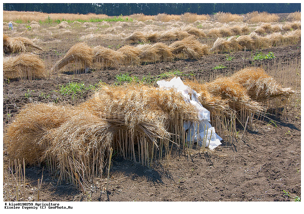 ������������, ������, ��������� ��������, �������, ����, ���������, ����, �������� ���������, ����, ����, ����� ��������, ������, ������, ������������� ����, ���������, �����, �������� ���������, �����, �������������������� �����, ����������� ��������, ����, ������, ����, �������, �������, ����, ����,, �����, ��������������, ������