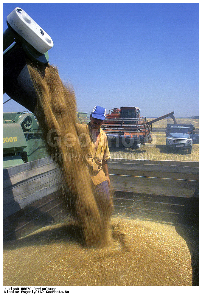 ������, ������������� ����, ������, ������� �����, �������� ���������, ����������, ������������ �����, ����, ����, �������, ����, �����, �����, ������, ������, �������, 