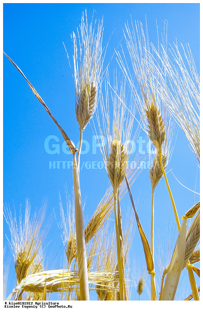 ������, ������������� ����, ������, ������� �����, �������� ���������, ����������, ������������ �����, ����, ����, �������, ����, �����, �����, ������,