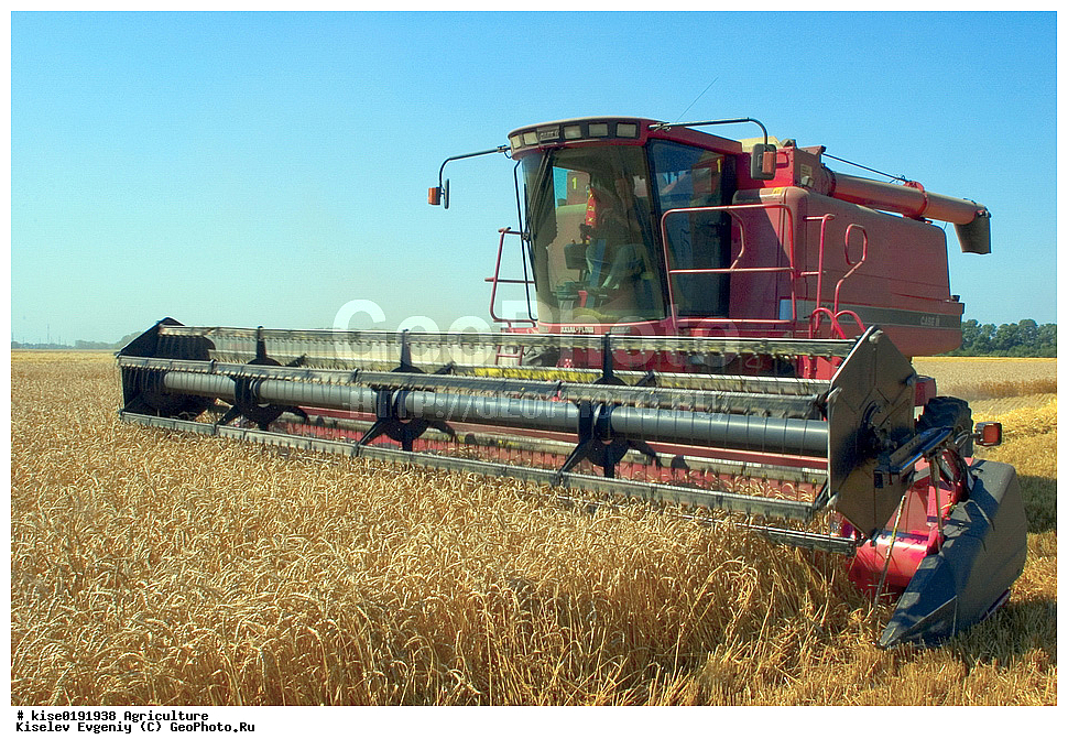  ������, ������������� ����, ������, ������� �����, �������� ���������, ����������, ������������ �����, ����, ����, �������, ����, �����, �����, ������, ������, �������, 