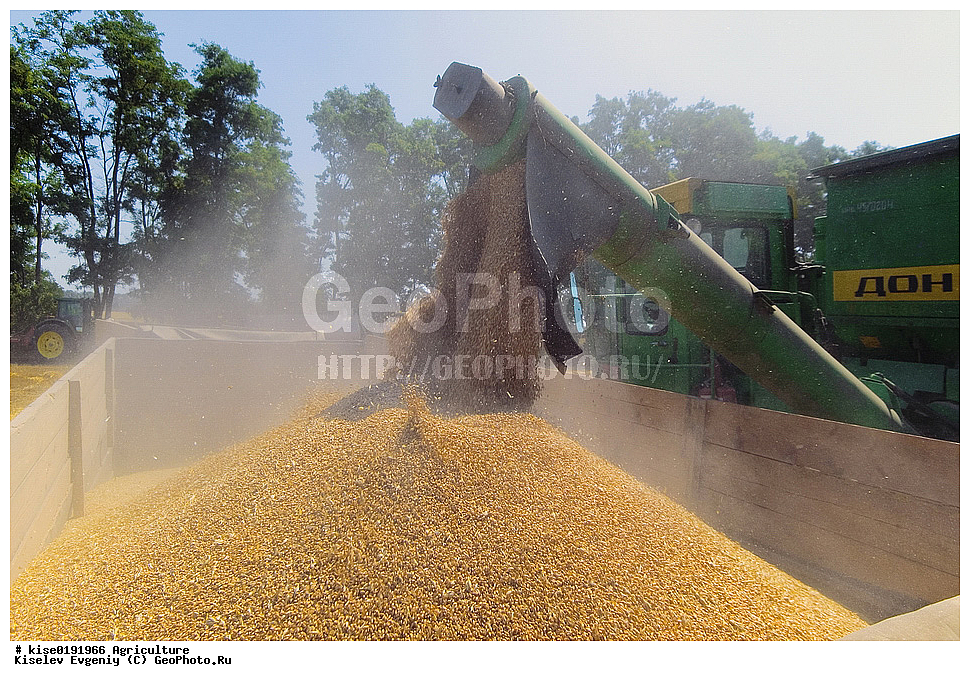 ������, ������������� ����, ���������, �����, �������� ���������, ����������, ������������ �����, �������� ���������, ����, ����, ����, �����, �������, ������, ������, �������, ������, ����, ��������, ��������, ��������, ��������