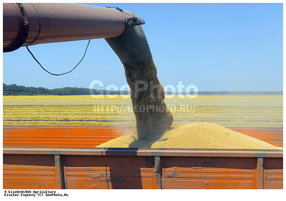 ������, ������������� ����, ���������, �����, �������� ���������, ����������, ������������ �����, �������� ���������, ����, ����, ����, �����, �������, ������, ������, �������, ������, ����, ��������, ��������, ��������, ��������