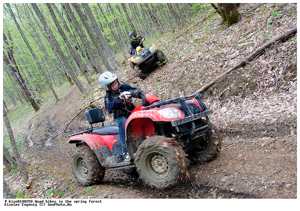  �����, ��������, ������, ����������, ���, ����������, �����������, �����������, �������, �����������, �������, ���������, �������, ������, ������������� ����, ����������� �����, ����, ���������, ���, ������, �����, �����, ����������, �����������, ����, ����, ���������, �������, ����������, �������, ���������, ��������������, ����������, ����, ��������, ��������, �����, �������, �����, �����, ����, ������ ��������, �����, ������, �������, ��������