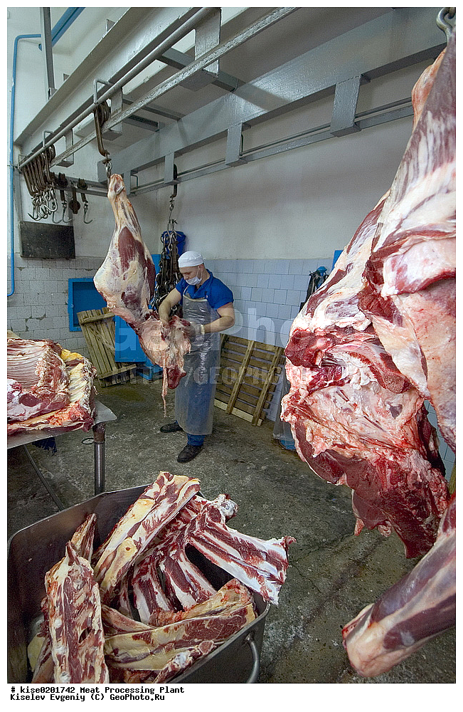 ����� ���������, �������, ����, ������������, �������, �����������, ��������, ������, �������� ���������, ����������, ���, ������, ������������� ����, ���������, �����, �����������, �������, �������� ���������, ���������������, ������������, ���, ����, ����, ��������, �������, �������, �������, ��������, 