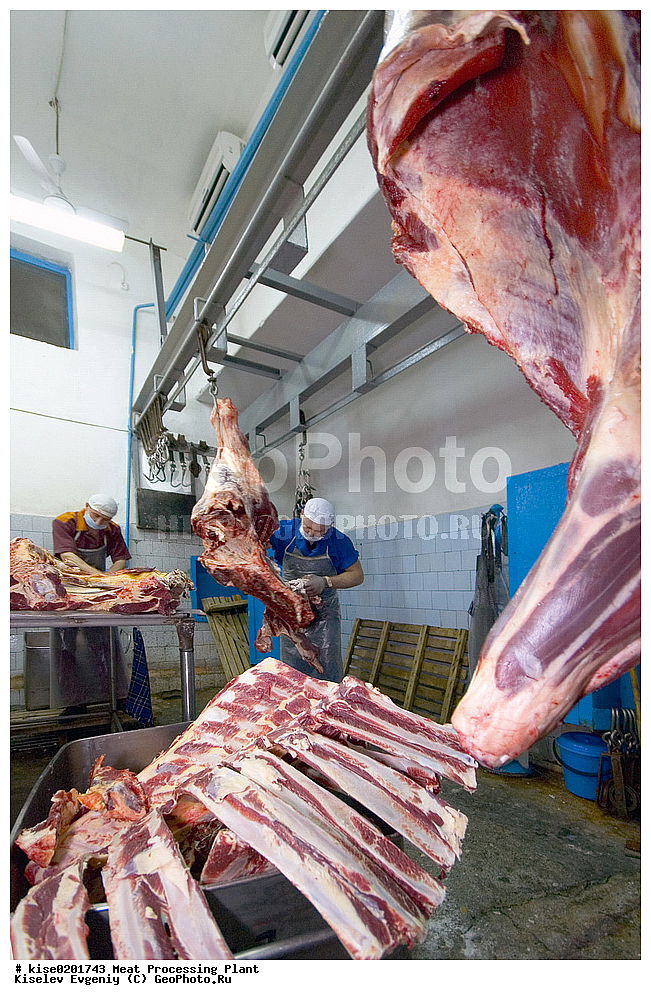 ����� ���������, �������, ����, ������������, �������, �����������, ��������, ������, �������� ���������, ����������, ���, ������, ������������� ����, ���������, �����, �����������, �������, �������� ���������, ���������������, ������������, ���, ����, ����, ��������, �������, �������, �������, ��������, 