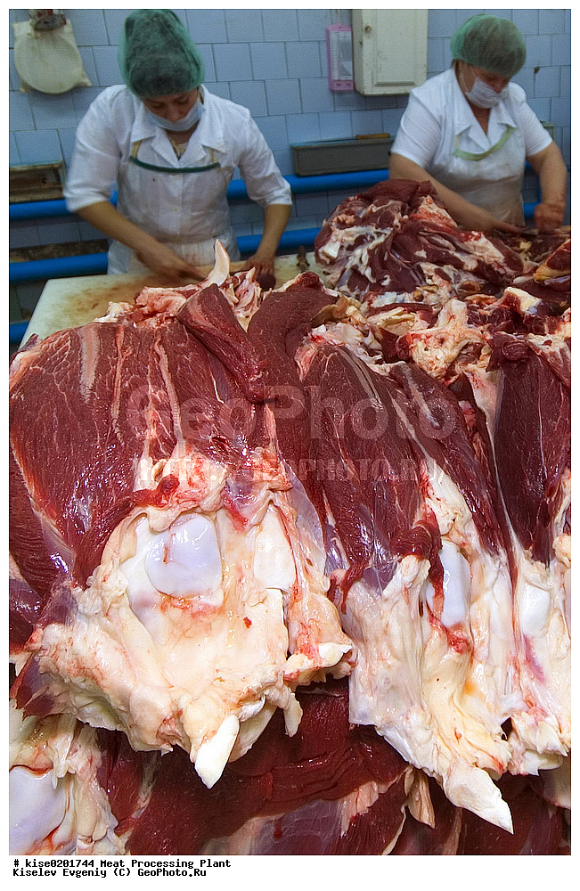 ����� ���������, �������, ����, ������������, �������, �����������, ���������, ������, �������� ���������, ����������, ���, ������, ������������� ����, ���������, �����, �����������, �������, �������� ���������, ������������, ����, �������, ��������, �����������, �������, �������, ���, �������, ����, ��������, ���������, ���������, ��������, 