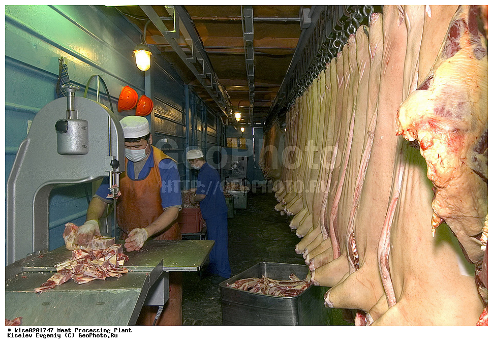 ����� ���������, �����, �����, ����, ������������, �����, �����������, ����������, ������, �������� ���������, ���, �������, ������, ������������� ����, ���������, �����, �������� ���������, ���������������, ������������, ���, ����, ����, �������, ��������, �����, ������� �����, ����������, ����������, ������������, �������, ��������, ������������, ����������, ����, ������������