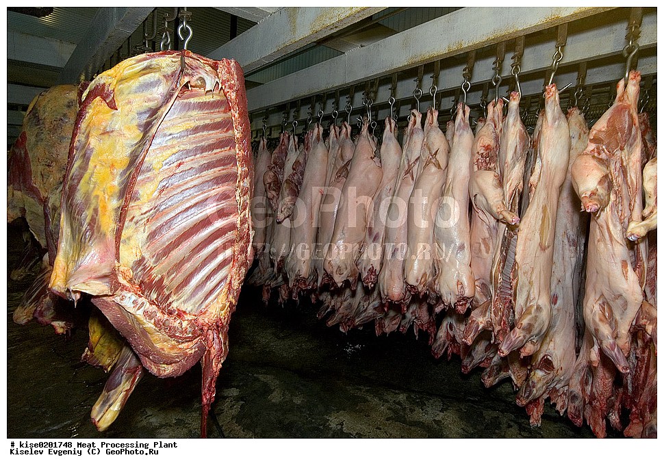 ������, ������������� ����, ���������, �����, �������� ���������, ������� ��������������, ���������������, ����, �������, ��������, ����, ����������, ��������, ���, ������, ����������