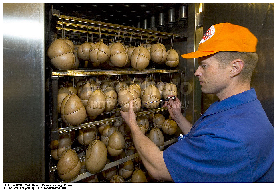 ������, ������������� ����, ���������, �����, �������� ���������, ����������� ����, ������������, �����������, ��������������, �������, ��������� �������, �����������, ��������, ���������,  �������, ��������, ��������, ��������