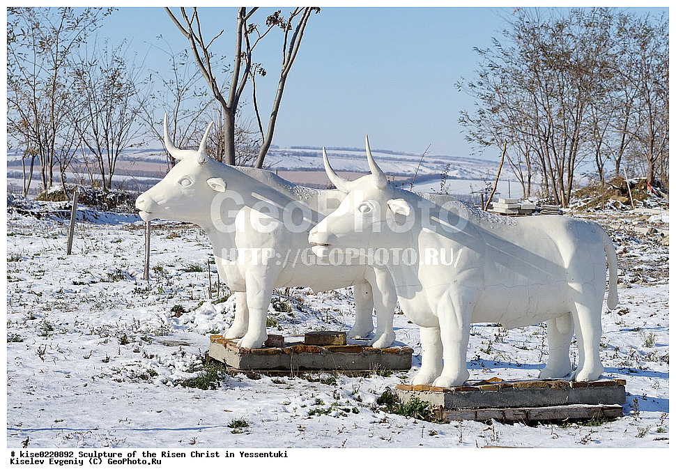 ������, �������������� ����, ���������, �����, ������, ����, ������, �������, ������������, �����������, ��������, ���, ���������,