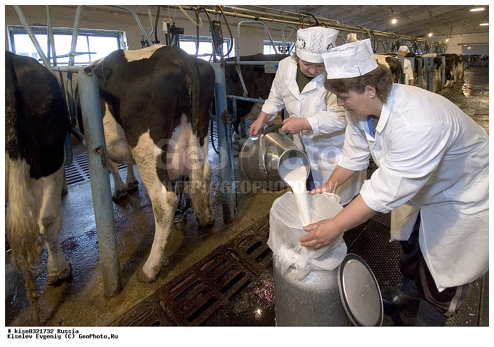  �� ����� �������� �������� �����, ������, ������������� ����, ���������, �����, �������� ���������, ��������������, ������������ ������, �����, ��������, �������� ���, ������, �����, ����, ������, �����, �������, ������������, �������, ���������, ������,
����������, ���������, ��������, ��������, ��������, �������������, �������������, �����, �����, XYZ, ���������, Bovidae, ������, ���, ���, Bos taurus taurus, ��������, ��������, �������������, �������������, �����, �����, XYZ, ���������, Bovidae, ������, ���, ���, Bos taurus taurus