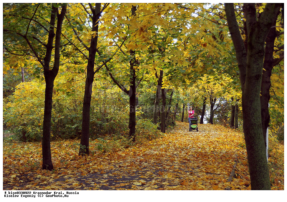 ������������� ����, �����, ���������, ���������, ������, ������, ������������� ����, ���������, �����, �����, �����, �����, ������, ������, ����, ������, �������, �������, ����, ��������, �����, ������