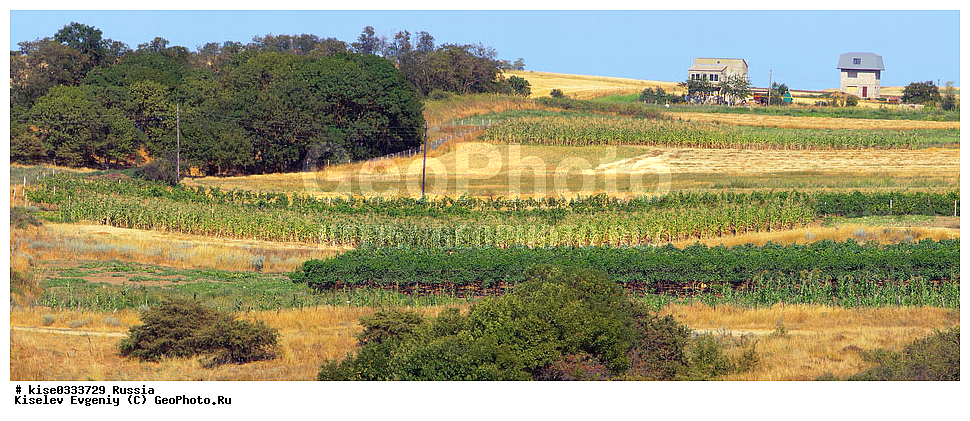 �������������������� ��������, ������, ������������� ����, ���������� �����, �����������, ����, �������, �����������, ����, ����, ��������, ��������������������,  ��������, ������, ��������,  ������, ��������, ��������