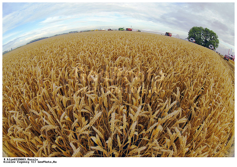 ������� ����, ������� �����, ������, ������������� ����, ������, �������, �������� ���������, ������������ �����, ����, �������, �����, �������, ����, ������, ������, �������� �����