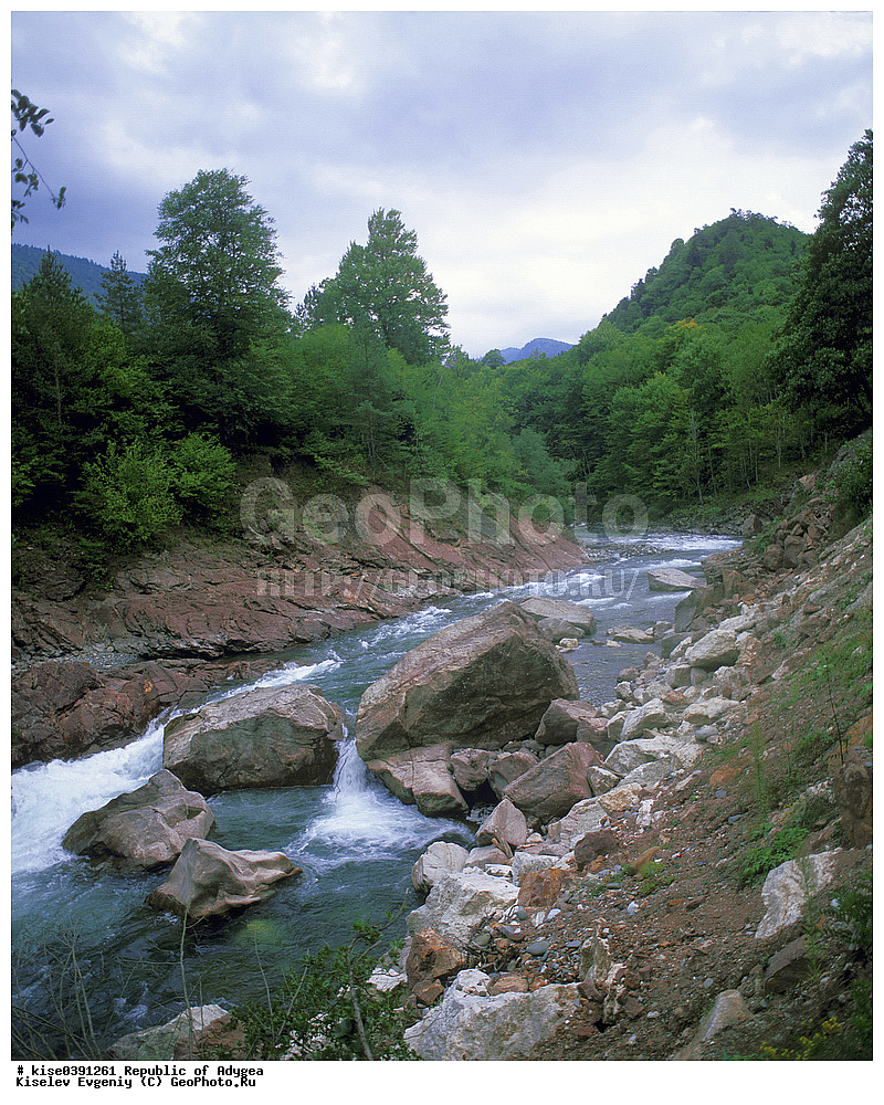 ����������, ������,  ������,  �����, ����, �������, �����, ������, ���������, ����, ����, ������, ���, ������, �������, ������, ����������, ����������, ���������������, ����������, ����,  ��������, ������