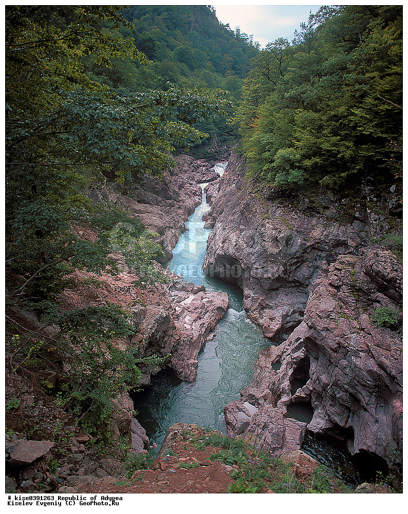 ����������, ������, ������, ������, ����������, �����, ����, �������, �����, ������, ���������, ����, ����, ������, ���, ������, �������, ������, ����������, ����������, ���������������, ����������, ����,  ��������, ������