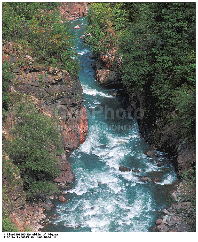 ����������, ������, ������, ������, ����������, �����, ����, �������, �����, ������, ���������, ����, ����, ������, ���, ������, �������, ������, ����������, ����������, ���������������, ����������, ����,  ��������, ������