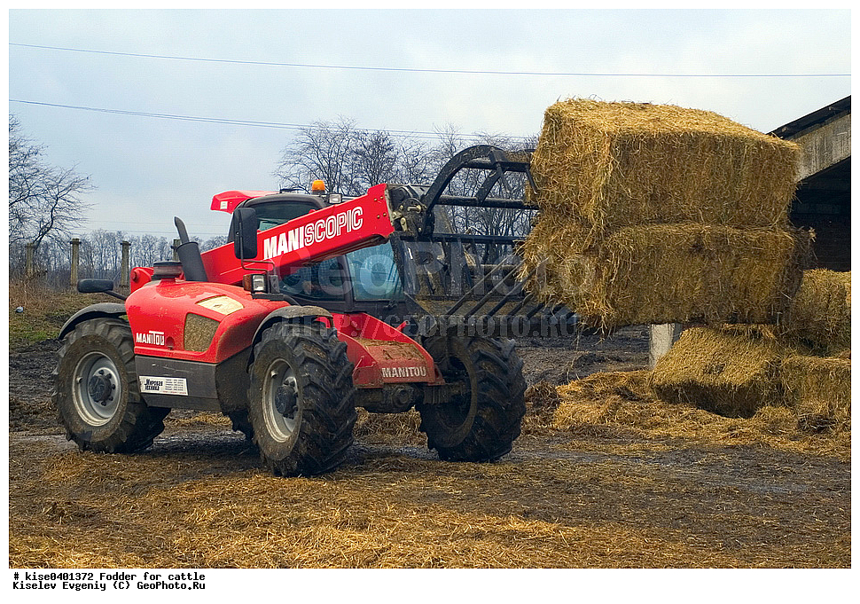 ���������, ����, ��������������, ������, ������, ������������� ����, ������� �����, �����, ����, �������� ���������, ��������������, ����, ������, ����, ���������, ������, ���������, �������, �����������, �����������, ��������, �������, ��������, ���������������, ���������, ����, ������, ����, ������, �����, ������