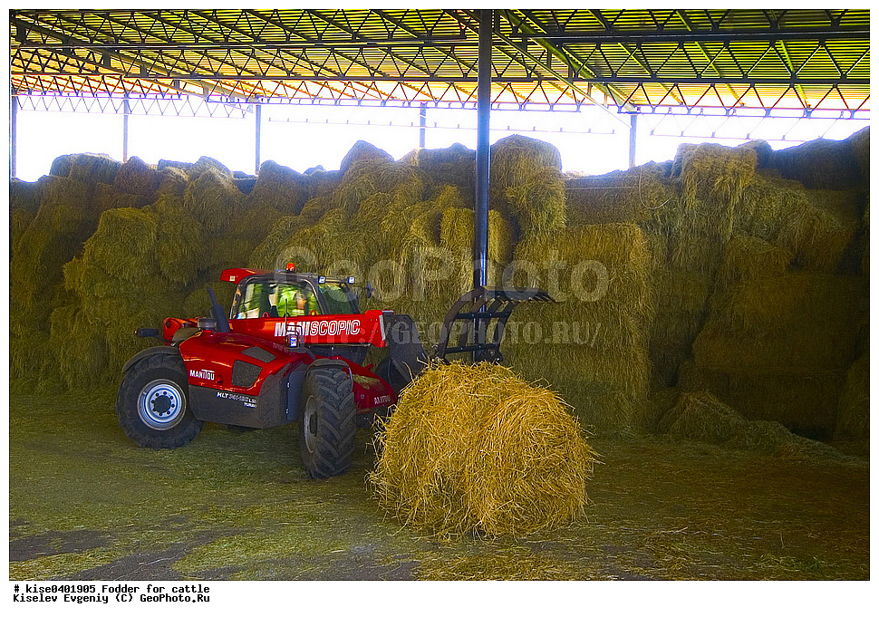 ���������, ����, ��������������, ������, ������, ������������� ����, ������� �����, �����, �������� ���������, ��������������, ����,  ����, ���������, ������, ���������, �������, �����������, �����������, ��������, �����, �����, ���������,