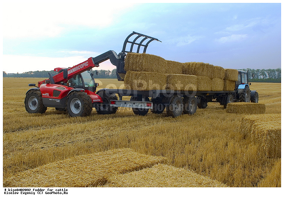 ���������, ����, ��������������, ������, ������, ������������� ����, ������� �����, �����, ����, �������� ���������, ��������������, ����, ������, ����, ���������, ������, ���������, �������, �����������, �����������, ��������, �������, ��������, ���������������, ���������, ����, ������, ����, ������, �����, ������