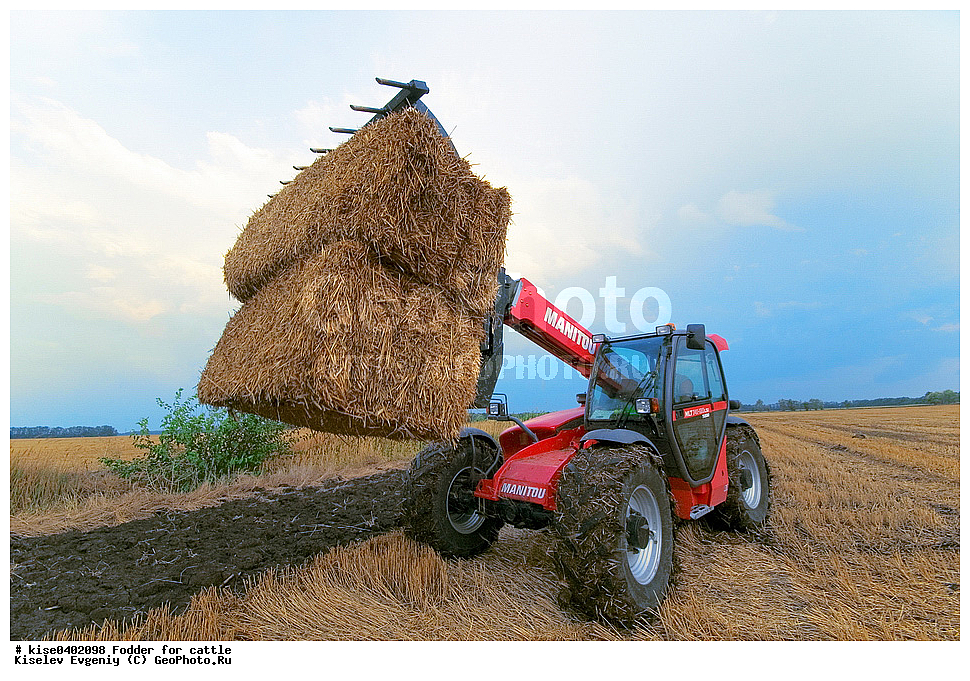 ���������, ����, ��������������, ������, ������, ������������� ����, ������� �����, �����, ����, �������� ���������, ��������������, ����, ������, ����, ���������, ������, ���������, �������, �����������, �����������, ��������, �������, ��������, ���������������, ���������, ����, ������, ����, ������, �����, ������