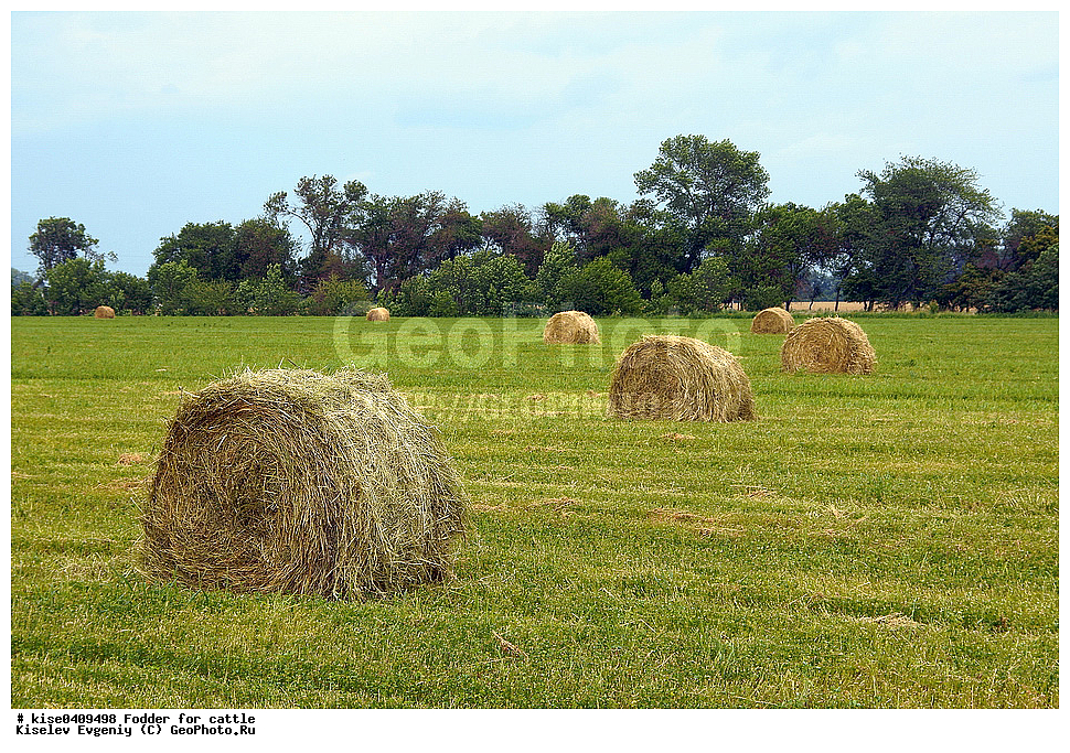 ������������, ���, ��������������, ���������, ����, �����������������, �������� ���������, �����, ����� ��������, ������, ������, ������������� ����, ������� �����, �����, ����, �������� ���������, ��������������, ����,  ����, ���������, ������, ����������, ������������ ������, ����, ������, ������