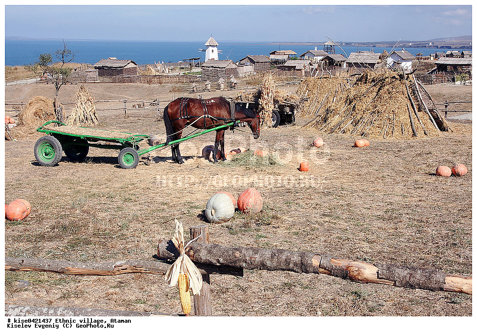 �������, �������, ������, ������, �����, ������, �������, ������, ����, �������, ����, �����, ����������,  ������, ������, ������������� ����, ���������� �����, �������, �������, �����, �������,  ����������, ������, �����, �����, ����, ��������, �����, �������, �������, ������, ����, ������, �����, �����, ����, �����, �����, ���������, �������������, ��������, ��������, �������������, �������������, �����, �����, XYZ, ���������, Equidae, �������� ������, Equus ferus caballus