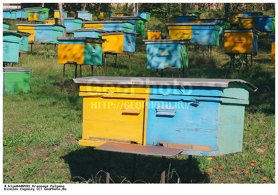  ������, ������������� ����, ������� ������� ������. ��������� ���� �� ������., ������, ������������� ����, ����, �����, ������, ������� ������, �������, ������, ����, �����, ���, ������������, �����, ������, �������, ��������, ��������, ��������, 