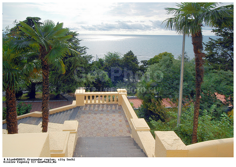  ����������, ���, ��������, ����, ����������, ����, ����, �����, ����� ��������, ������, ������������� ����, �����, ������, �����������,������ ����, ������, ������, ������, ��������������, ��������, ����, ������