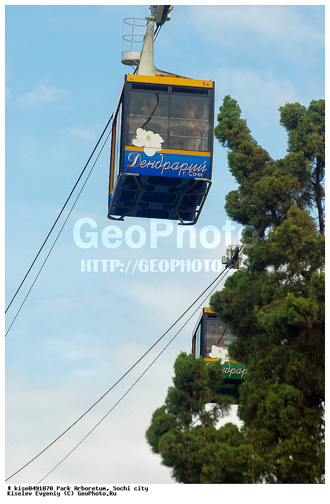  ��������, ���, ���������, ������, ��������, ����, �������, ��������������, ����, ����� ��������, ���������, ������, ������������� ����, ���������, �����, �������, ����, ������, ������� ����,������