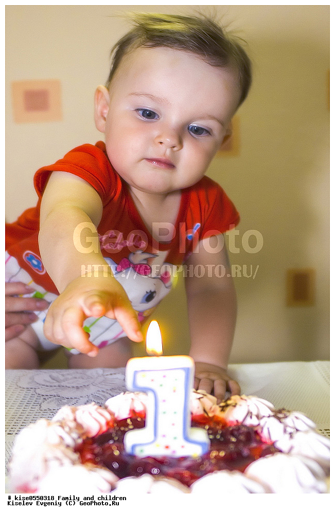 �����, ����, ��������, �������, ������, ������������� ����, ���������, �����, �������, ��������, ���� ��������, ����, �����, �����, ���� ���