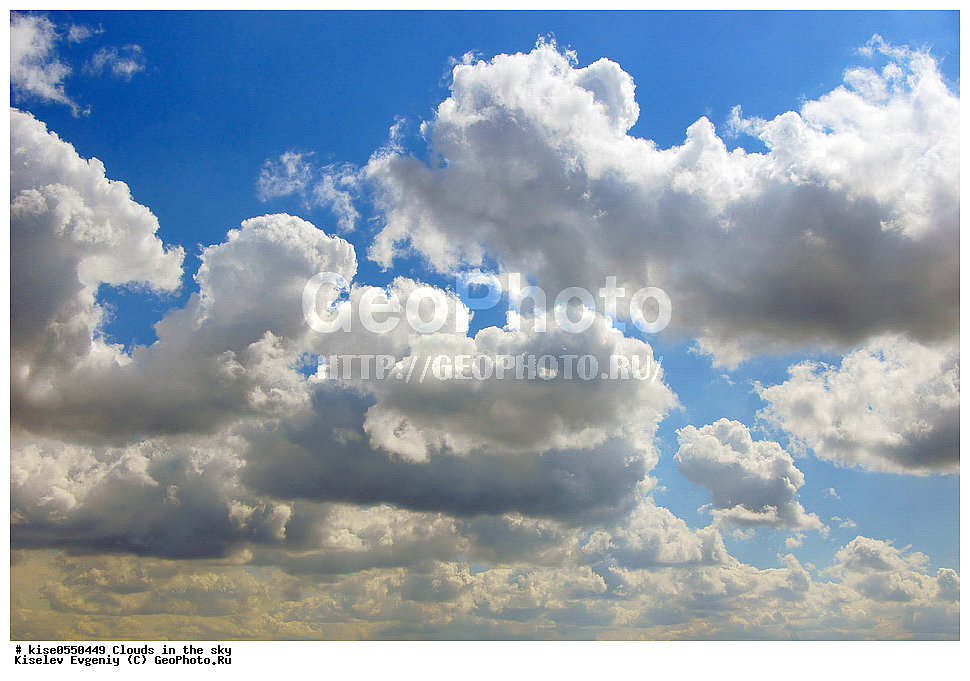 ������, ����, ������, �������� ������, ����, ������, ����, ������, �������� ������, ����, �������