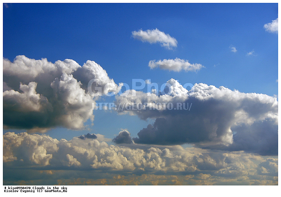 ������, ����, ������, �������� ������, ����, ������, ����, ������, �������� ������, ����, �������