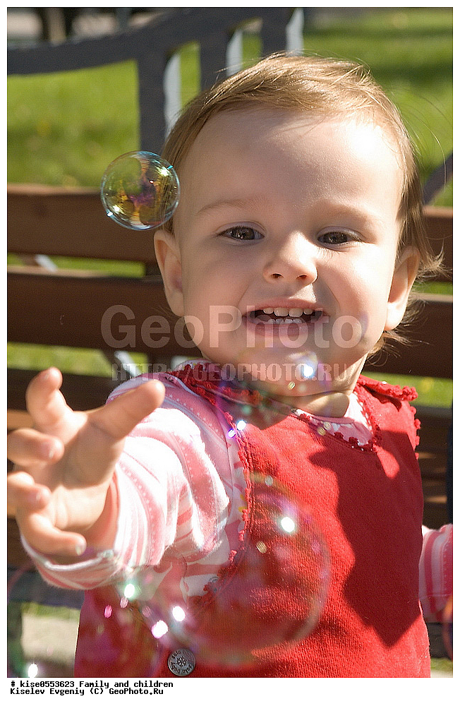 �����, ����, ��������, �������