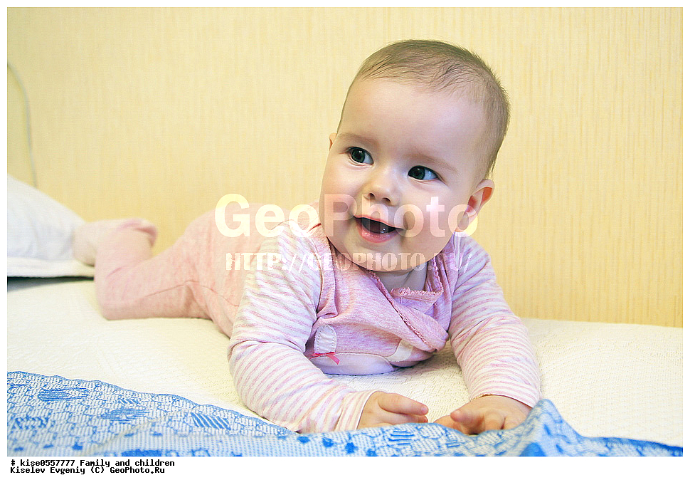 �����, ����, ��������, �������,  ������, ������������� ����, ���������, �����, �������, �������, ����������, ������,