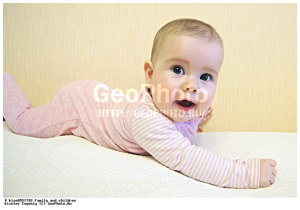 �����, ����, ��������, �������,  ������, ������������� ����, ���������, �����, �������, �������, ����������, ������,