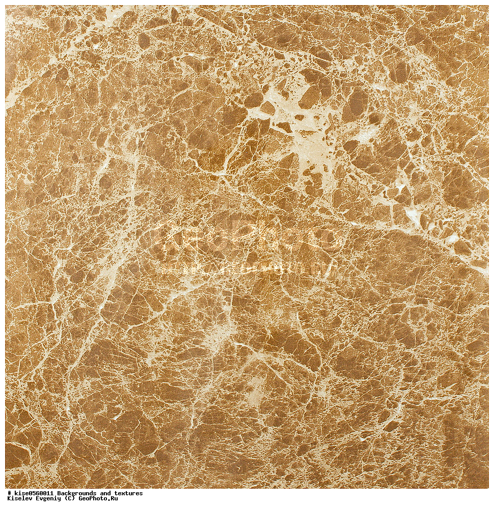 ���, ��������, �������, ���, ��������, ������, ��������, �������, ������, ������������ ������, ������������, ������, ������������, ��������, ����������, �����, ��������, ������