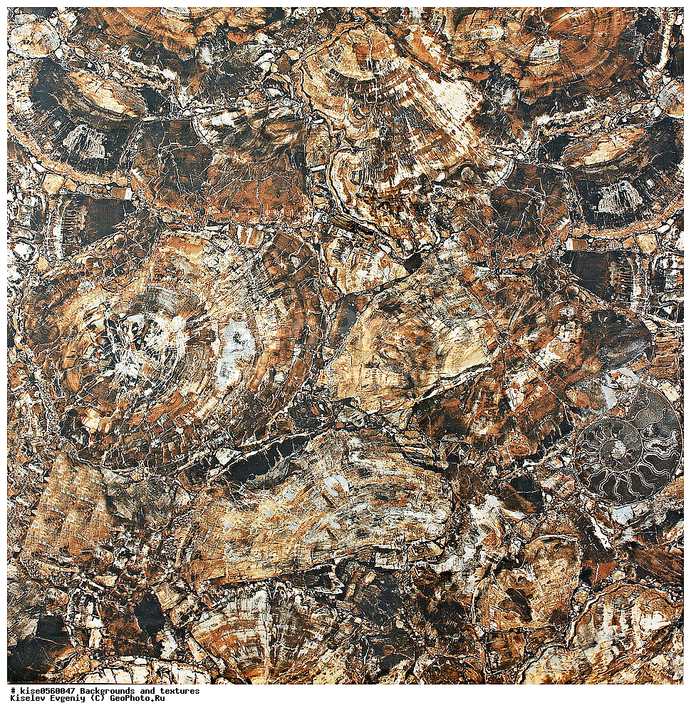 ���, ��������, �������, ���, ��������, ������, ��������, �������, ������, ������������ ������, ������������, ������, ������������, ��������, ����������, �����, ��������, ������