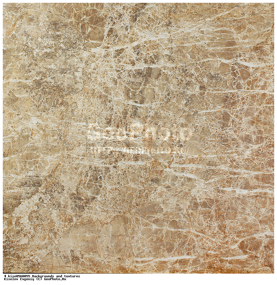 ���, ��������, �������,  ������, ������, ������������ ������, ������������, ��������, ����������, ������, ������, �����, ��������, ������������, ��������, ��������, �������, �������, ���, ��������, ���