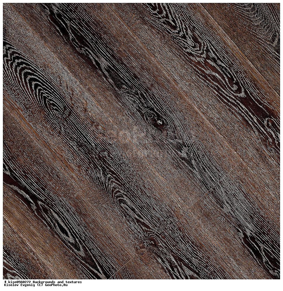 ���, ��������, �������,  ���, �������, ��������, ������������ ��������, �������������, �������, ���, ��������, �����, ������, ���������, ���������, ������, �������,