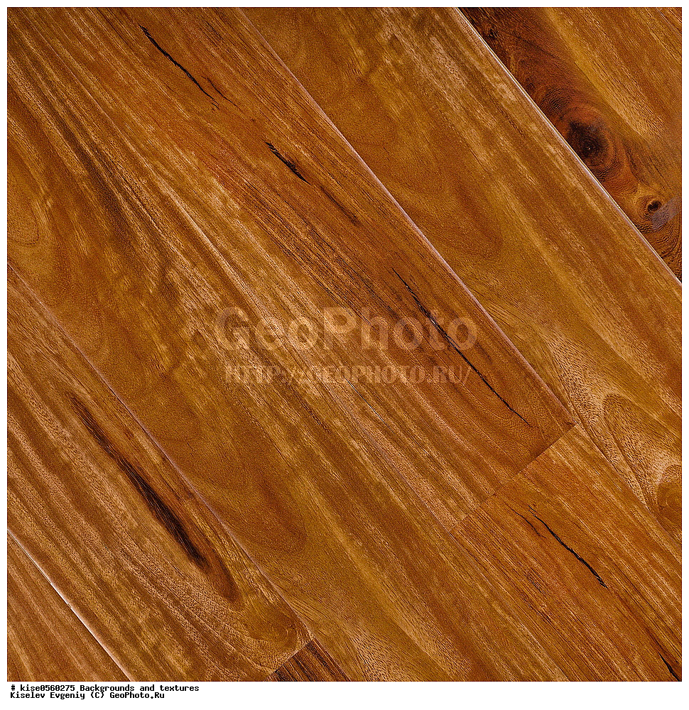 ���, ��������, �������,  ���, �������, ��������, ������������ ��������, �������������, �������, ���, ��������, �����, ������, ���������, ���������, ������, �������,
