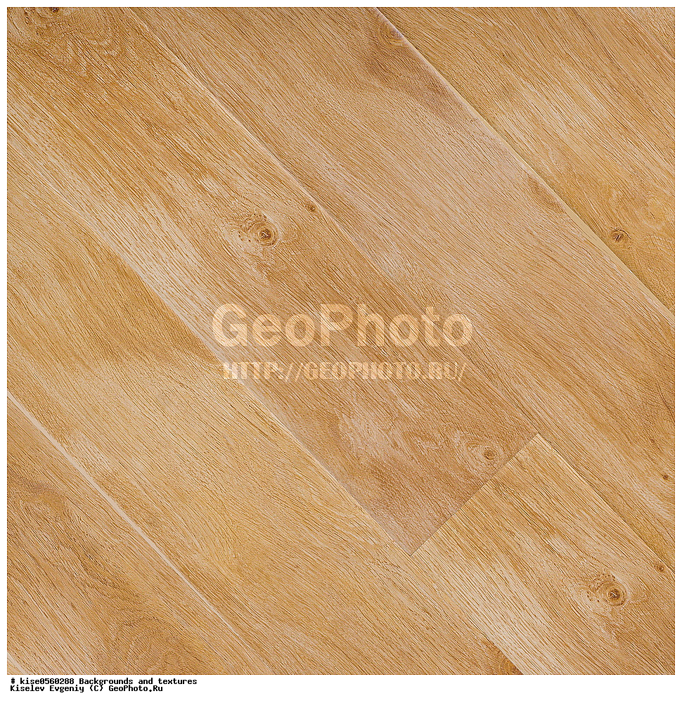 ���, ��������, �������,  ���, �������, ��������, ������������ ��������, �������������, �������, ���, ��������, �����, ������, ���������, ���������, ������, �������,