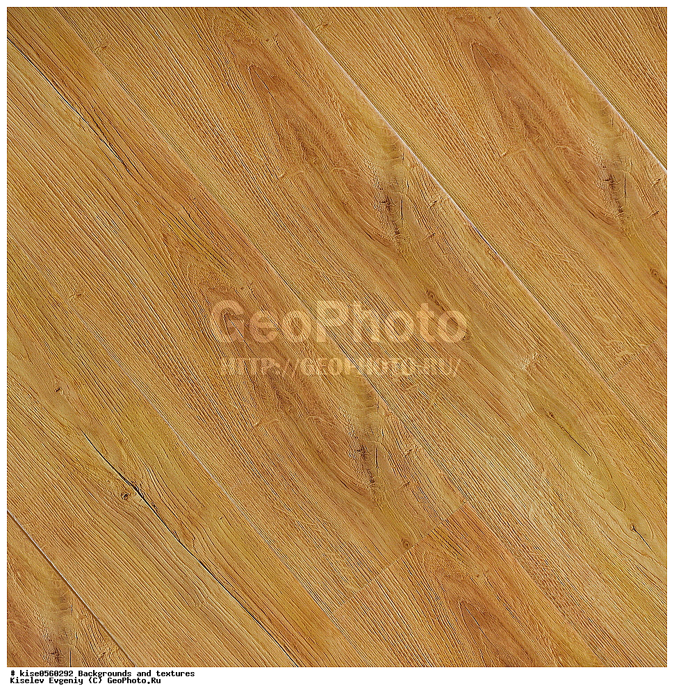 ���, ��������, �������,  ���, �������, ��������, ������������ ��������, �������������, �������, ���, ��������, �����, ������, ���������, ���������, ������, �������,