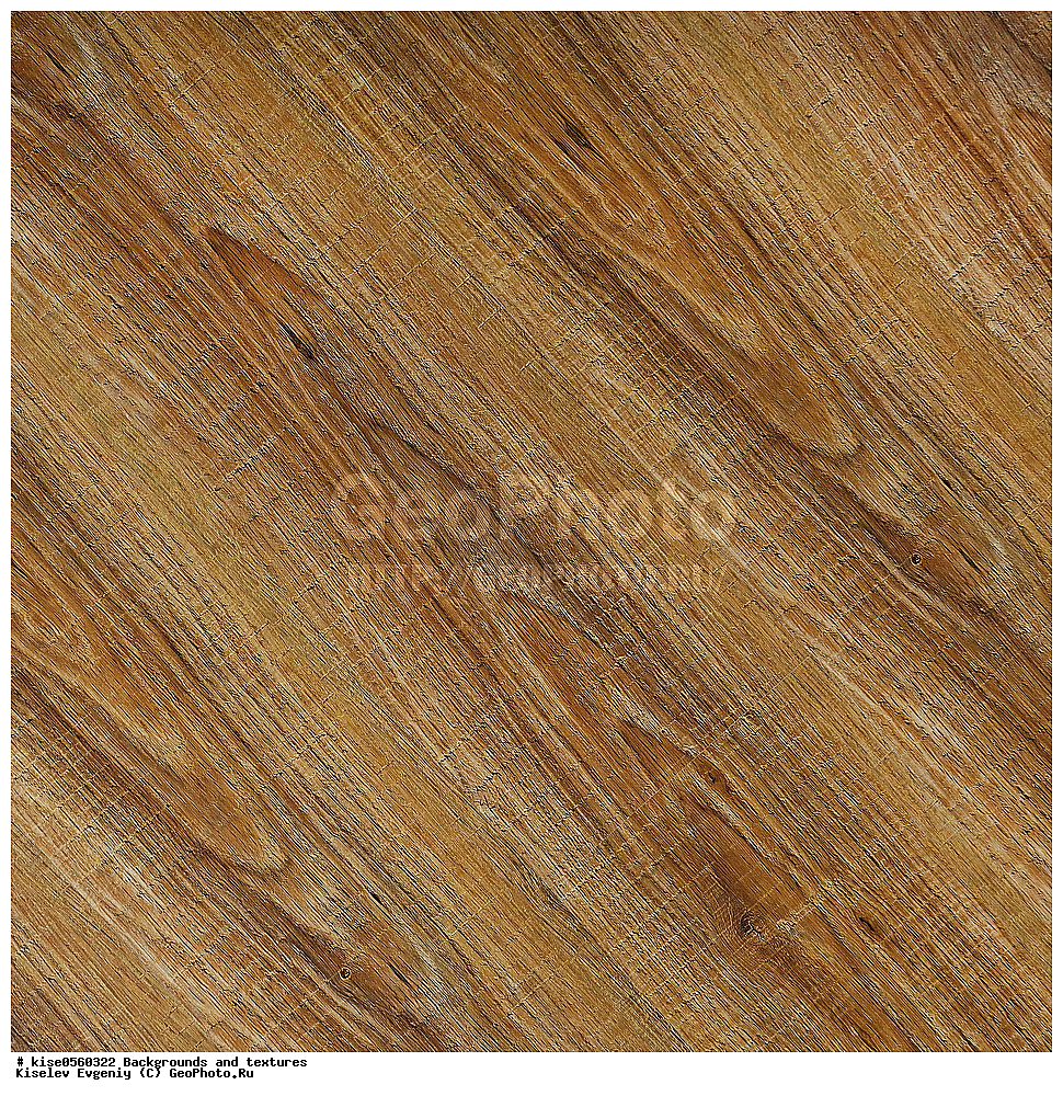 ���, ��������, �������,  ���, �������, ��������, ������������ ��������, �������������, �������, ���, ��������, �����, ������, ���������, ���������, ������, �������,