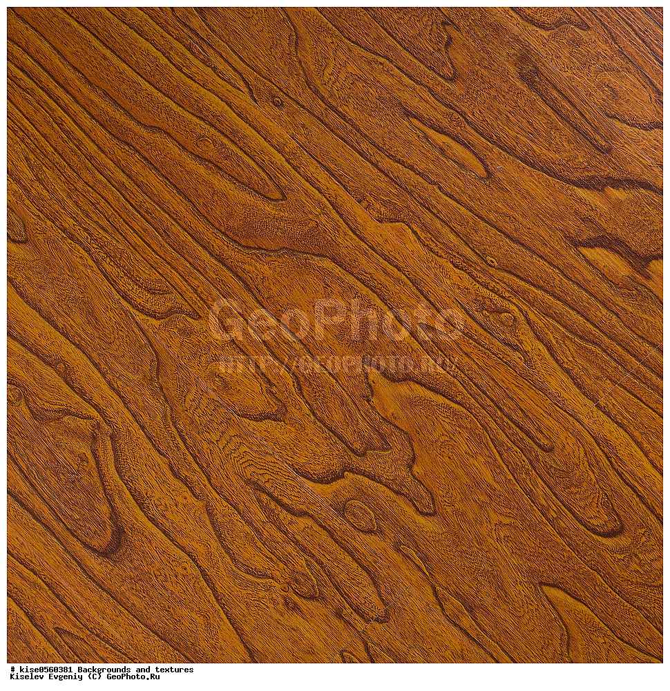 ���, ��������, �������,  ���, �������, ��������, ������������ ��������, �������������, �������, ���, ��������, �����, ������, ���������, ���������, ������, �������,