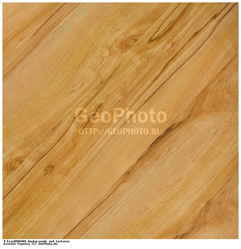 ���, ��������, �������,  ���, �������, ��������, ������������ ��������, �������������, �������, ���, ��������, �����, ������, ���������, ���������, ������, �������,